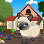 Tonkinese Cat Rescue Game