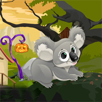 Cute Koala Rescue