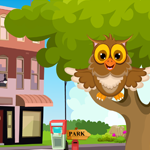 Games4King Cute Owl Rescue
