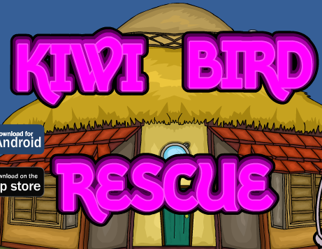 Games2Jolly Kiwi Bird Rescue
