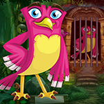Games4king Rosy Bird Rescue Game