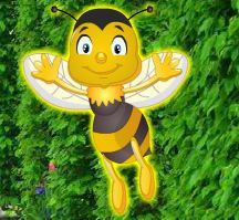 Pair Of Honeybee