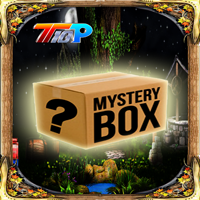 Find The Mystery Mask Box