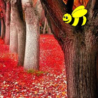 BEG Autumn Fall Forest Escape