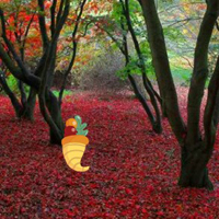 BigEscapeGames Thanksgiving Red Autumn Forest Escape