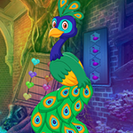 G4K Exquisite Peacock Escape 