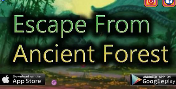 Escape From Ancient Forest
