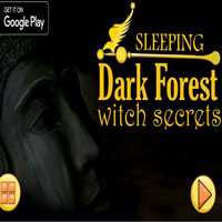 Nsr Sleeping Dark Forest Escape: Witch Secrets
