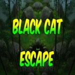 Black Cat Escape 