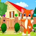G4k Cute Cat Rescue 2 Game