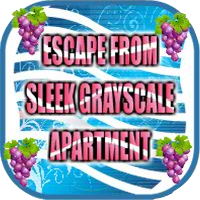  Escape007Games Escape From Sleek Grayscale Apartment