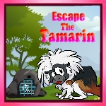 GZ15-Escape The Tamarin