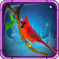  Games4Escape Red Cardinal Rescue