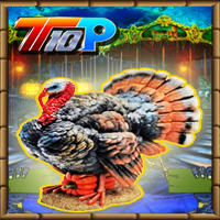 Thanksgiving Rescue The Curse Turkey