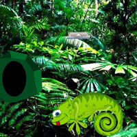 Games2rule Chameleon Rain Forest Escape